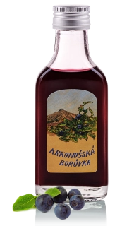 Krkonošská borůvka 0,04l